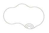 Image 17 Service