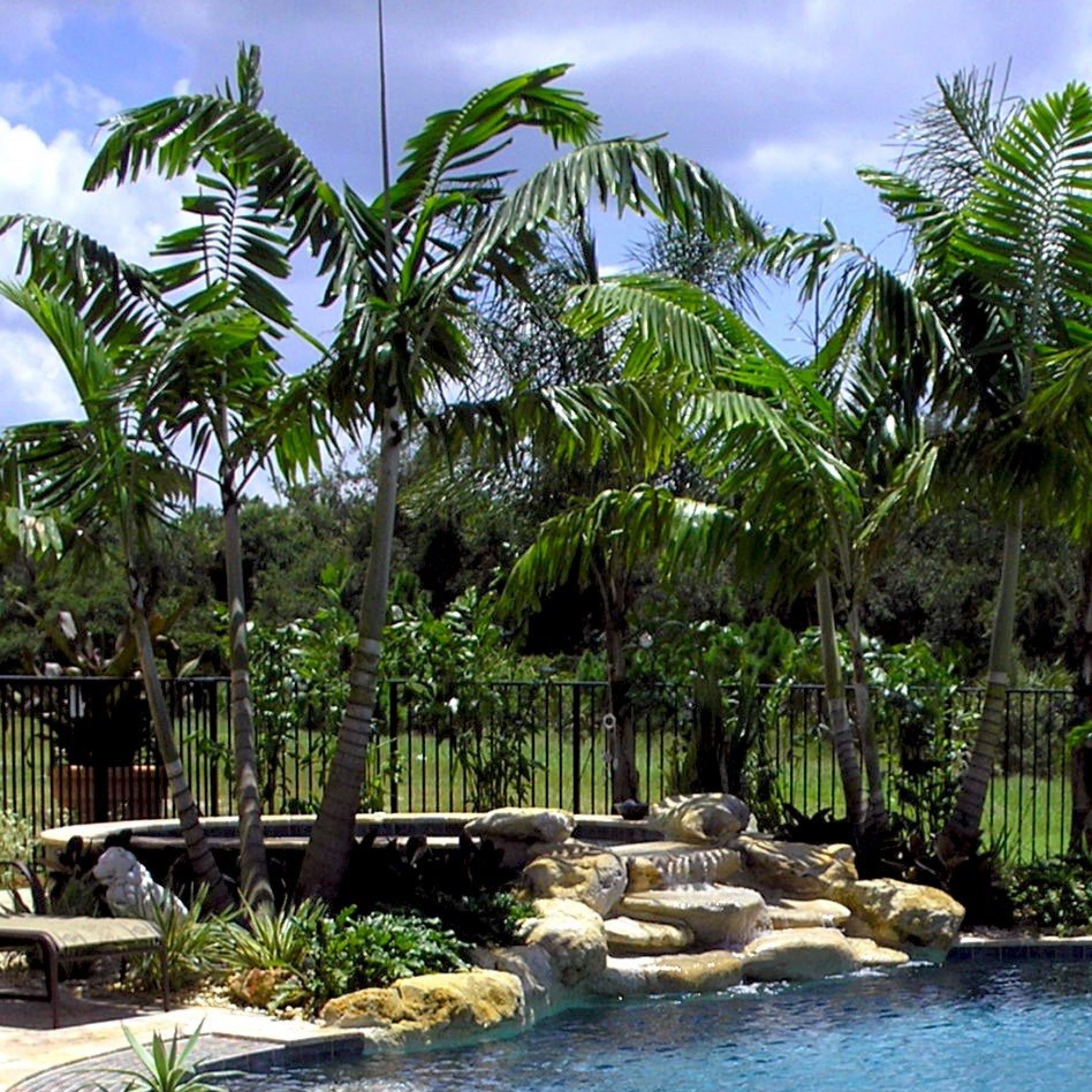 Natural rock waterfall spilling into a spa surrounded by palm trees