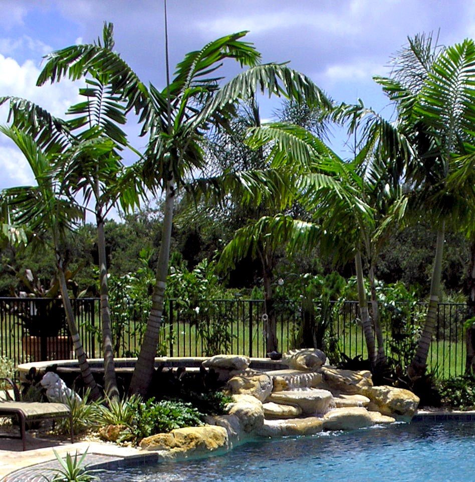 Natural rock waterfall spilling into a spa surrounded by palm trees